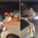 إجراءات قانونية بحق سائقي مركبات لتعطيلهم حركة المرور بلوى 2 إجراءات قانونية بحق سائقي مركبات لتعطيلهم حركة المرور بلوى