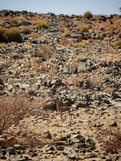 c5515820 5551 4c9f b2d9 259aafed923c