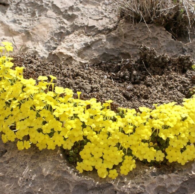 cf3c63ce fe71 40c2 8c28 904642443b0d