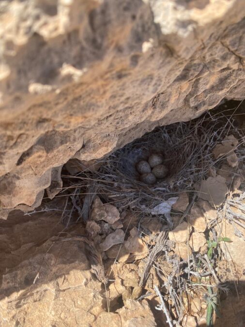 df041b4c aaa1 4036 b462 b434c10f7bc4