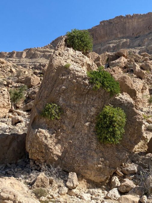 e576d004 bbcd 47dc 91c9 e32aa28798fa