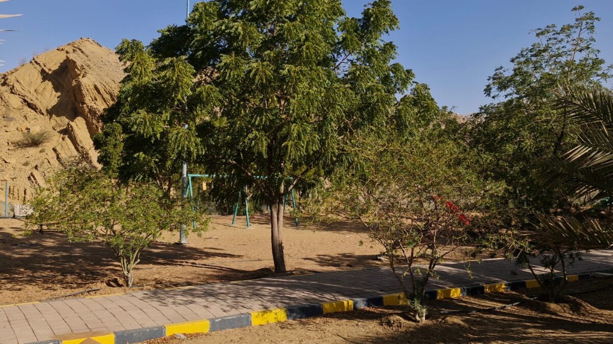 جهود مشتركة بشمال الشرقية لمتابعة وتحسين مستوى النظافة في وادي بني خالد 2 f71a0302 9534 41cc 8274 5981b48a80f7