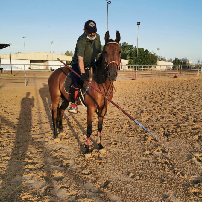 3022bfeb 155c 4b02 a00e a4d590fdb256