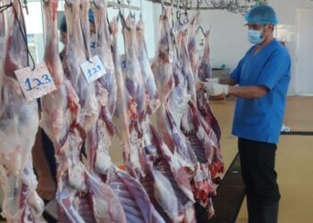 دائرة البلدية بالخابورة تؤكد جاهزية المسلخ لاستقبال المذبوحات