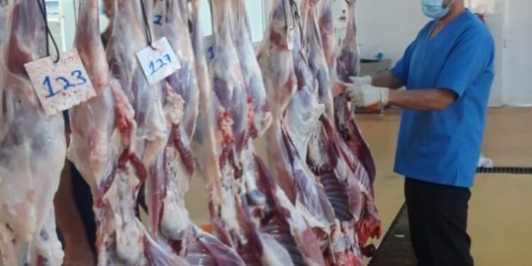 دائرة البلدية بالخابورة تؤكد جاهزية المسلخ لاستقبال المذبوحات 1 دائرة البلدية بالخابورة تؤكد جاهزية المسلخ لاستقبال المذبوحات