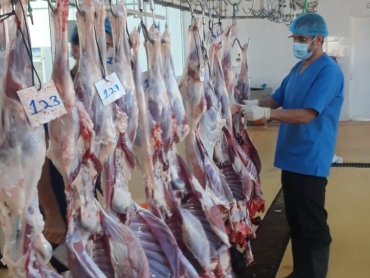 دائرة البلدية بالخابورة تؤكد جاهزية المسلخ لاستقبال المذبوحات