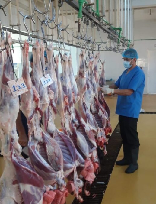 دائرة البلدية بالخابورة تؤكد جاهزية المسلخ لاستقبال المذبوحات 4 34e7f147 0bce 4bb2 9de3 22e3873e2530