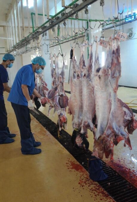 دائرة البلدية بالخابورة تؤكد جاهزية المسلخ لاستقبال المذبوحات 3 35a2e890 c16f 40bb af59 a0c8473af2f9