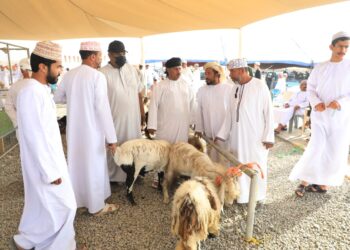 حركة نشطة في سوق سابع بالخابورة .. وارتفاع ملحوظ بالأسعار