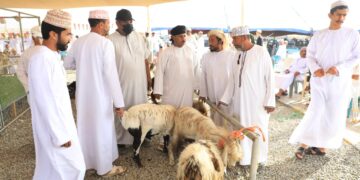 حركة نشطة في سوق سابع بالخابورة .. وارتفاع ملحوظ بالأسعار