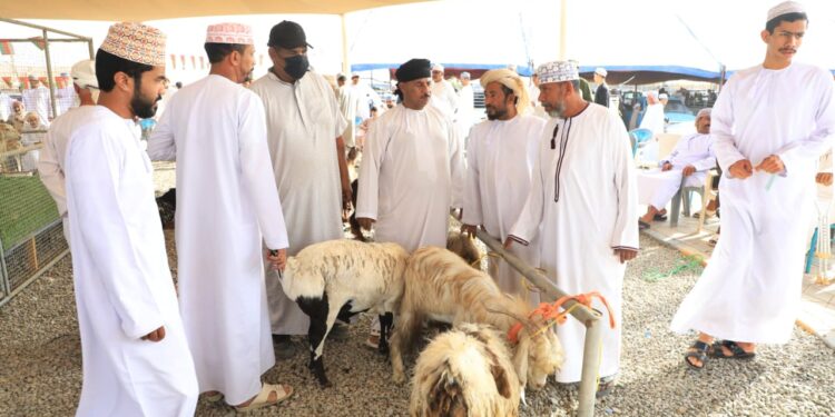 حركة نشطة في سوق سابع بالخابورة .. وارتفاع ملحوظ بالأسعار