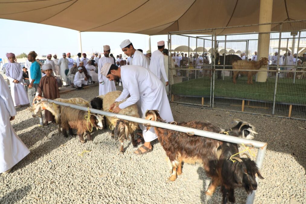 8a4cc83f 945e 4d4b a21a 088e911e6413