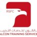 معهد فالكون للتدريب يعلن 4 فرص تدريبية مقرونة بالتوظيف