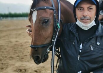 الفارس راشد السعيدي .. من الخيالة السلطانية إلى عالم التدريب