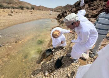 حملة بيئية لزراعة مليون بذرة نباتات برية في حديقة السليل الطبيعية بالكامل والوافي