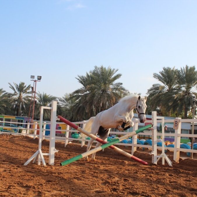 e376ba02 34fa 4253 8f9a 8d2720f3b732