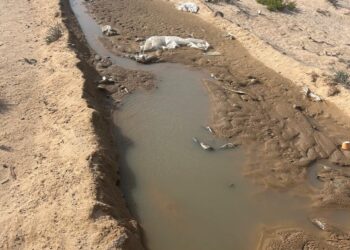 ضبط مخالفة بيئية بجنوب الشرقية