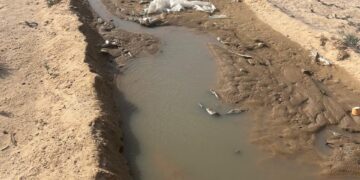 ضبط مخالفة بيئية بجنوب الشرقية