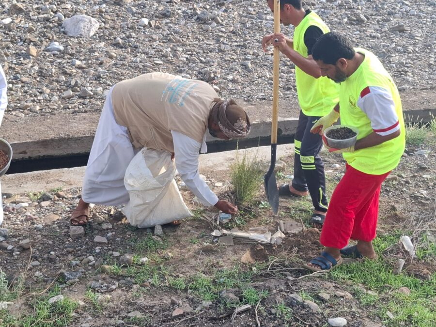 3462a10e 5c68 4ad0 9fd5 38bff287c6e7