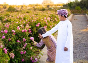 موسم ربيع الورد يعزز الحركة السياحية وينشّط الاقتصاد المحلي بمحافظة الداخلية