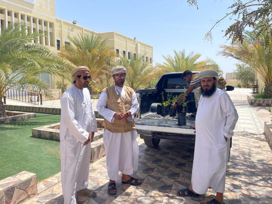 3b602651 73a4 4652 b575 380772552482