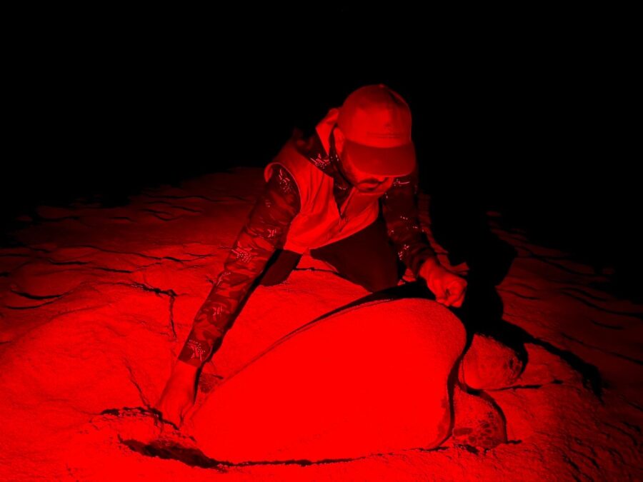 59bcbb5f 2e9e 4ddc 9679 6539a128a992