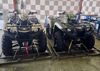 مركز بيئة مصيرة يعزز العمل الميداني بموسم تعشيش السلاحف 2026