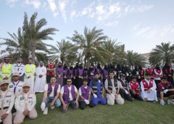 مسودة تلقائية