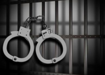 ضبط شخص ذو سوابق لسرقته بطاريات 26 مركبة في السيب