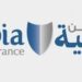 الشركة العربية فالكون للتأمين تعلن وظيفة شاغرة