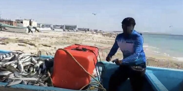 ضبط قارب غير مرخص وعامل وافد في الدقم