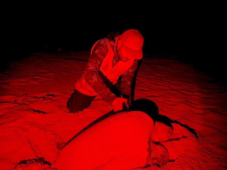 b5b29a83 92df 4841 8419 791ef259b63d