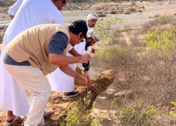 جنوب الشرقية تتجدد خضرتها: غرس أكثر من 200 ألف بذرة برية في حملة بيئية نوعية بعد موسم الأمطار”