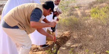 جنوب الشرقية تتجدد خضرتها: غرس أكثر من 200 ألف بذرة برية في حملة بيئية نوعية بعد موسم الأمطار”