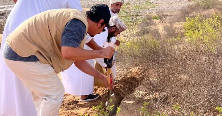 جنوب الشرقية تتجدد خضرتها: غرس أكثر من 200 ألف بذرة برية في حملة بيئية نوعية بعد موسم الأمطار”