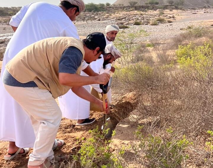 جنوب الشرقية تتجدد خضرتها: غرس أكثر من 200 ألف بذرة برية في حملة بيئية نوعية بعد موسم الأمطار”