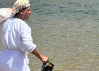 استمرار حملة غرس النباتات البرية بوادي مرخه لتعزيز التنوع البيئي في الكامل والوافي