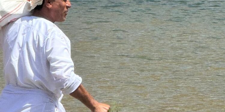 استمرار حملة غرس النباتات البرية بوادي مرخه لتعزيز التنوع البيئي في الكامل والوافي