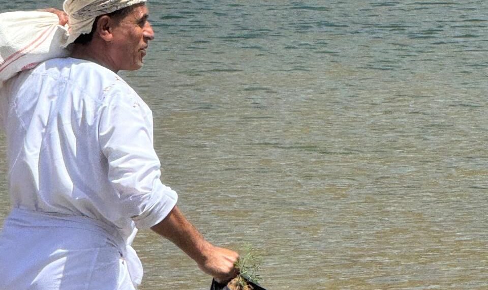 استمرار حملة غرس النباتات البرية بوادي مرخه لتعزيز التنوع البيئي في الكامل والوافي