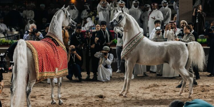 الموج مسقط يستضيف جولة الجياد العربية العالمية
