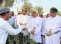 حديقة الغاف بفلج المشايخ.. متنفس بيئي يعزز السياحة المستدامة وصون الطبيعة