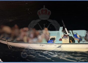 القبض على 22 شخصًا حاولوا دخول البلاد بطريقة غير مشروعة