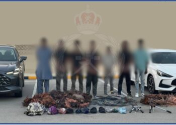 القبض على 7 آسيويين بتهمة تخريب وسرقة كابلات من مجمع كهربائي في بهلاء