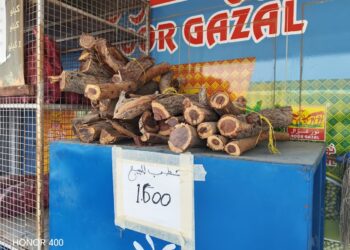 حملة توعوية وتفتيشية بشمال الشرقية لتعزيز الالتزام بحظر أكياس التسوق البلاستيكية وضبط مخالفات بيع الحطب